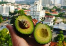 This simple tip keeps fresh avocado leftovers up to 7 days and you never thought about it avocado