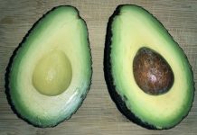 5 tips to ripen avocado faster avocado