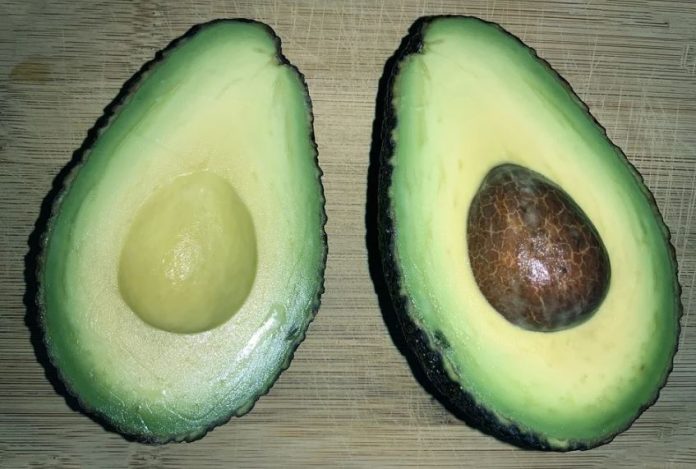 avocado